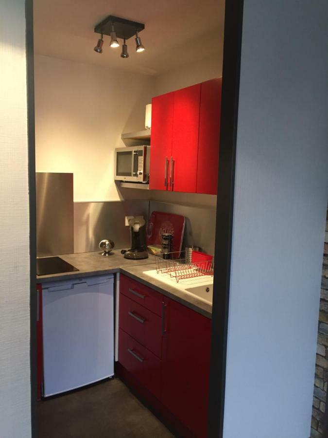 L'oasis Cosy Avec Climatisation, Parking, Velos , Animaux Bienvenus Apartment